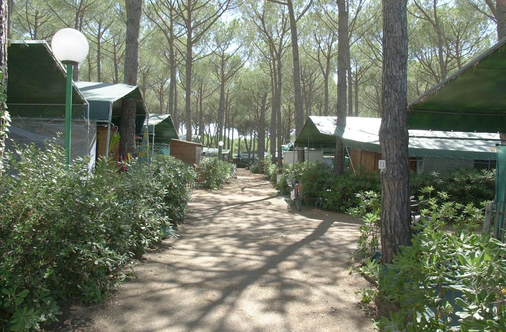 Free Marina Di Bibbona