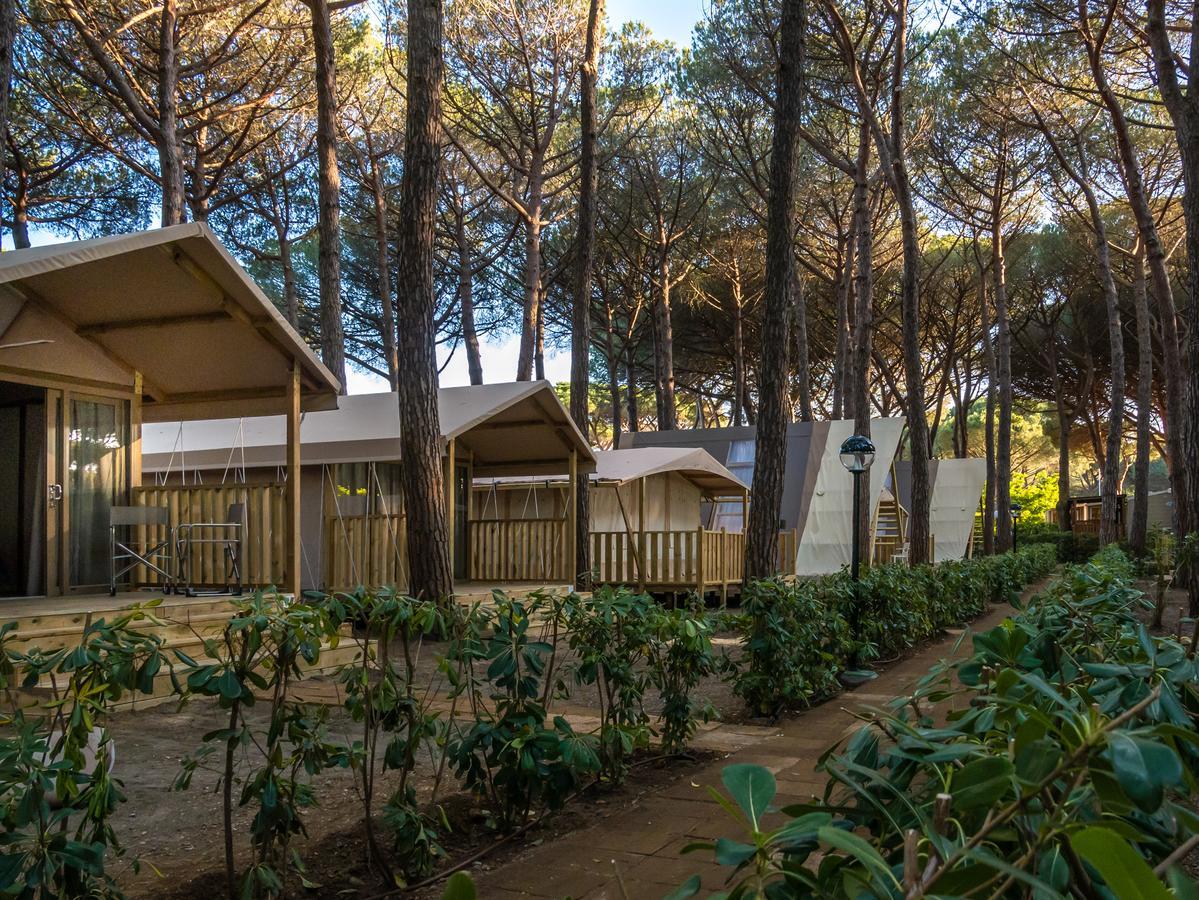 Camping Free 3*