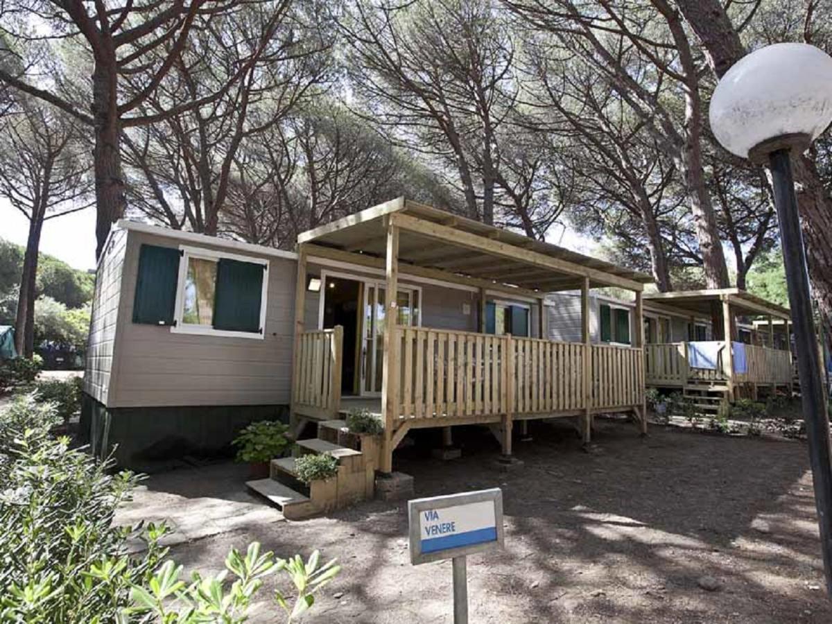 Camping Free Beach 3*